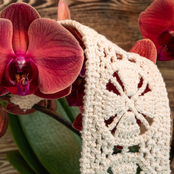 Progetto senza titolo